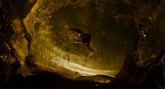 DNA degrades quickly, making preservation in amber difficult.