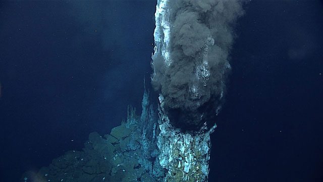 A hydrothermal vent on the ocean floor.