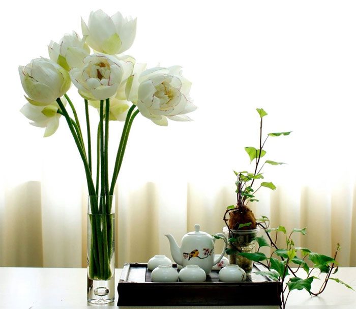 The mutant lotus flower has a distinctly different beauty.