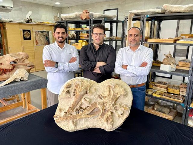 Egyptian researchers with the Tutcetus rayanensis original fossil.