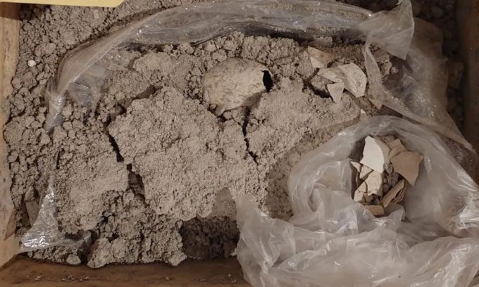 Fossilized flamingo egg discovery in Mexico.
