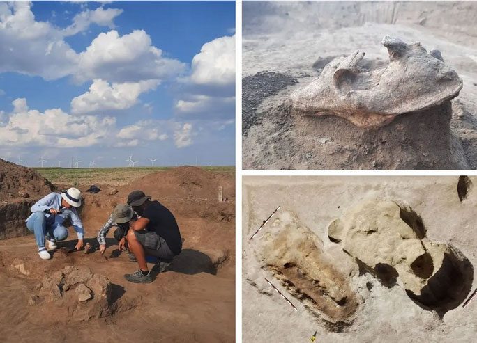 Excavation site and the wild animal skull "guarding" the ancient burial mound