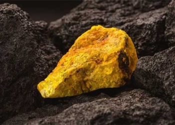 how france depends on niger uranium 129101