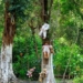 how japans suicide forest is now after many years of nightmares 129140