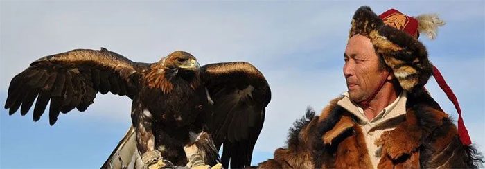 The eagle can hunt alongside humans because it regards humans as trustworthy partners.
