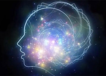 humans create memories incorrectly the day after the event occurs 127112