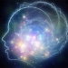 humans create memories incorrectly the day after the event occurs 127112