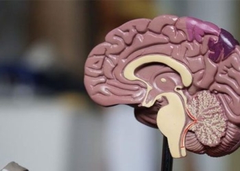hundreds of people in canada suffering from mysterious illness 128501