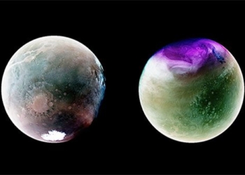 image showing 2 seasons on the planet 128264