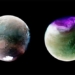 image showing 2 seasons on the planet 128264
