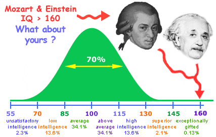 IQ Test Chart
