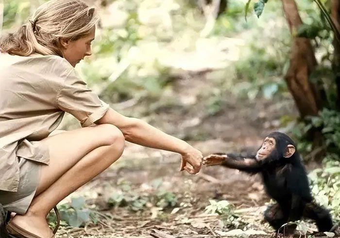 Jane Goodall