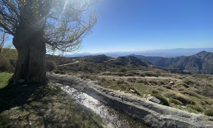 An irrigation canal in Andalusia.