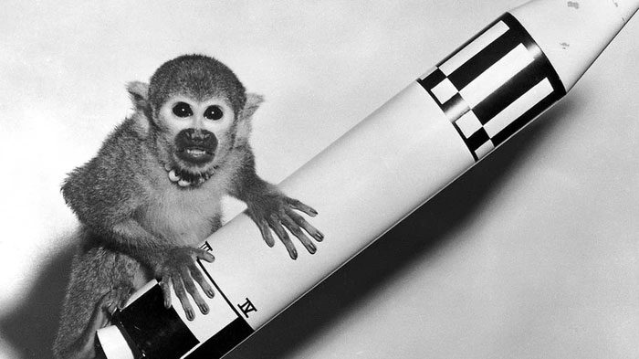 Biologists have sent animals into space for years