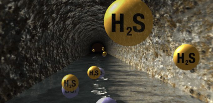 H2S, methane, CO are all toxic gases affecting the nervous system, causing coma and rapid death.