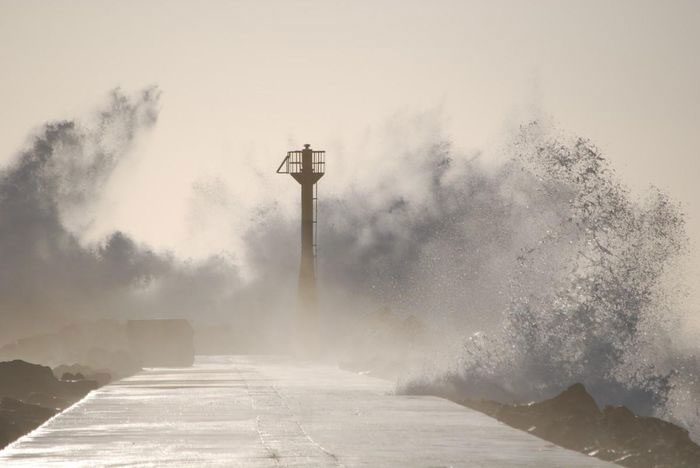 Accurate typhoon forecasts are crucial for minimizing risks.
