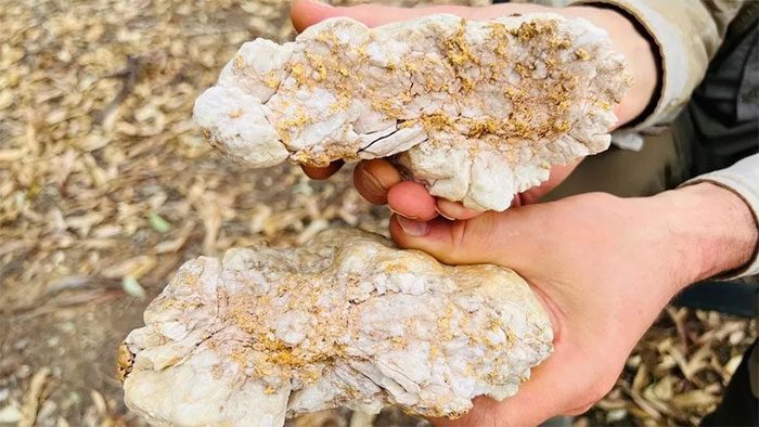 The gold nugget valued at 160,000 USD.
