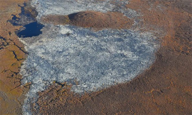 Mackenzie River Delta in Canada has the largest deadwood accumulation in the world.