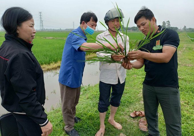 Lương Văn Trường (far right) discussing rice varieties with farmers.