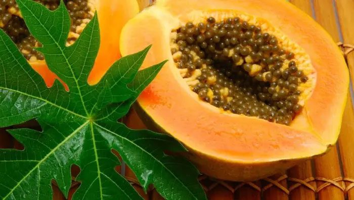 Papaya leaves and seeds can be used for medicine.