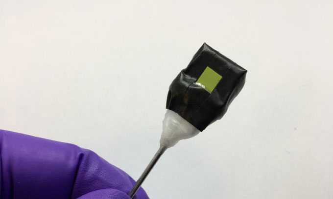 Artificial leaves attached to a metal support.
