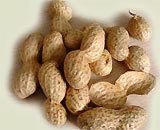 Patients with lung cancer should avoid peanuts
