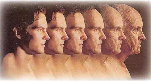 At the age of 80, the human body will lose 50% of its muscle mass compared to when it was just 20.
