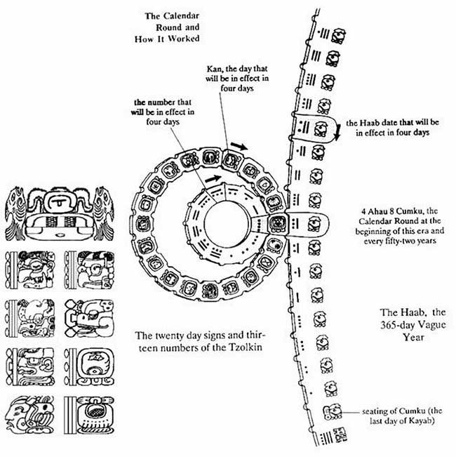 The Maya are renowned for their advancements and profound understanding of nature and mathematics
