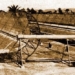 little known facts about the first solar energy pioneer 127490