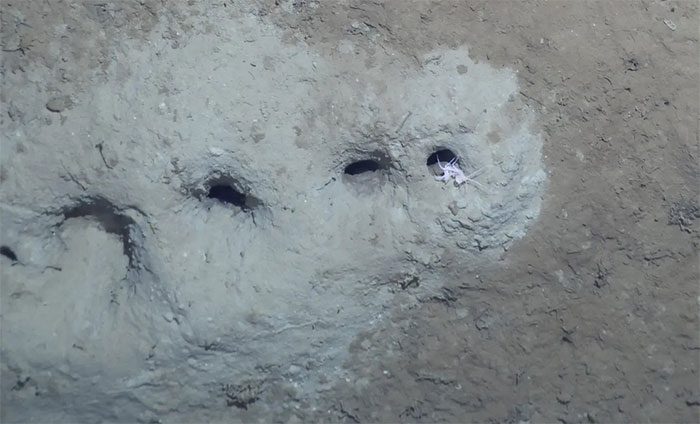 Scientists have found the answer to the mysterious holes.