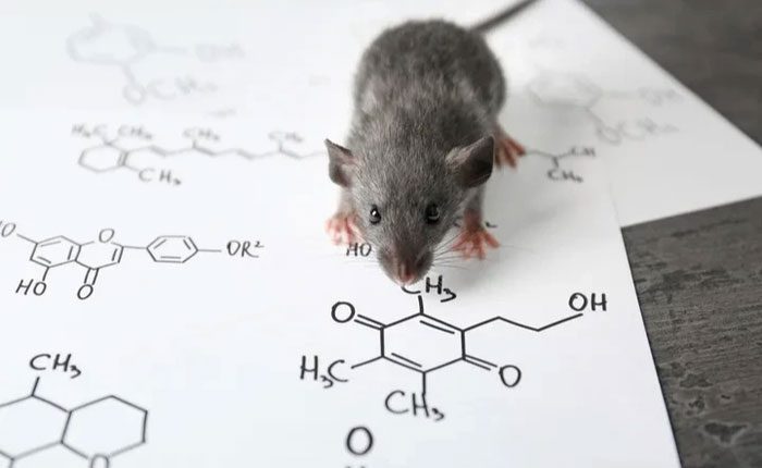 There are many measures to eliminate rats.