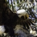 long term white feeding bird like a worm 128273