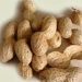 lung cancer dietary restrictions 5174