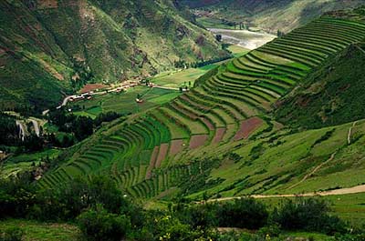 Terraced fields behind the mountain