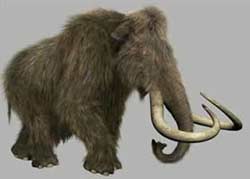 Mammoth