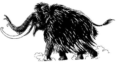 Mammoth