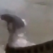 man uses hands to handle giant monster on river 127815