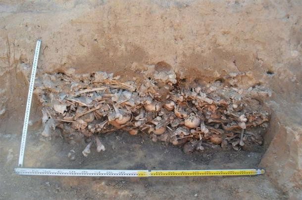 Some bone fragments found in urns