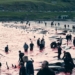 massacre of more than 500 pigs in faroe islands denmark 128116