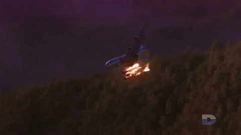 The aircraft crashed into the ravine, resulting in 520 fatalities.