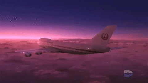 The tail of the aircraft exploded just 12 minutes after takeoff.