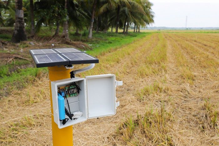 Each AWD plot is equipped with a solar-powered sensor.