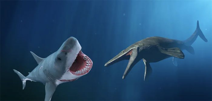 The giant Megalodon shark faces off against the Mosasaurus.