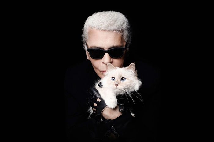 Not just a pet, Choupette is also viewed as Karl Lagerfeld's muse.