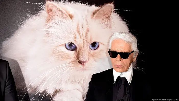 Born in 2011, Choupette is now 11 years old and incredibly famous.
