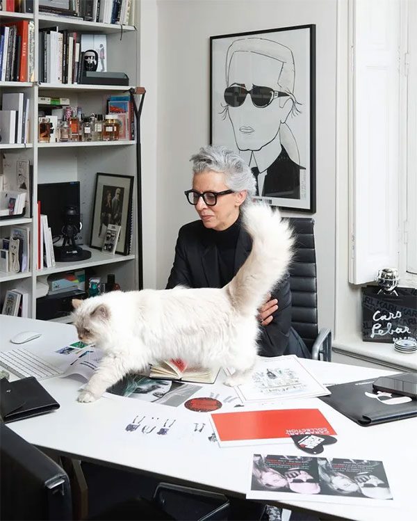Choupette also became a model for Karl Lagerfeld's new designs