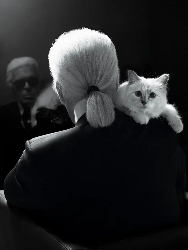 Karl Lagerfeld and Choupette the cat