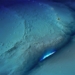 mind blowing facts about the challenger deep the deepest point on earth 128291