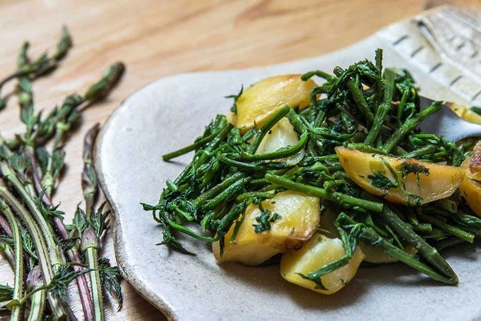 Dishes made from hop flower buds