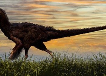 monsters the world has never seen in china 128046